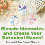 MHM Glass Floating Frame for Pressed Flowers - 4x4 (Bundle of (3) 4x4 Hexagon, Diamond, Square) Wall Hanging Double Glass Frame for Dried Wildflowers, Photos, and Postcards