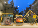 MHM Glass Floating Frame for Pressed Flowers - 4x4 (Bundle of (3) 4x4 Hexagon, Diamond, Square) Wall Hanging Double Glass Frame for Dried Wildflowers, Photos, and Postcards