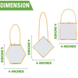 MHM Glass Floating Frame for Pressed Flowers - 4x4 (Bundle of (3) 4x4 Hexagon, Diamond, Square) Wall Hanging Double Glass Frame for Dried Wildflowers, Photos, and Postcards