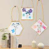 MHM Glass Floating Frame for Pressed Flowers - 4x4 (Bundle of (3) 4x4 Hexagon, Diamond, Square) Wall Hanging Double Glass Frame for Dried Wildflowers, Photos, and Postcards