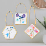 MHM Glass Floating Frame for Pressed Flowers - 4x4 (Bundle of (3) 4x4 Hexagon, Diamond, Square) Wall Hanging Double Glass Frame for Dried Wildflowers, Photos, and Postcards