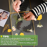 MHM Brass Wall Hanging Photo Frames, Gold Frames that Display Dried Plants, Flowers Artwork with double Pressed Glass (8x10, Gold - Horizontal)