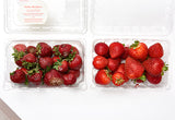 Fridge Air Purifier - ModernKitchenMaker.com