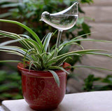 Self Watering Decorative Plant Globe (2 Piece Set) - ModernKitchenMaker.com