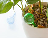 Self Watering Bulb for Plant Pot (2 Pack) - ModernKitchenMaker.com