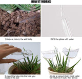 Self Watering Decorative Plant Globe (2 Piece Set) - ModernKitchenMaker.com