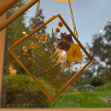 MHM Set of 2 or 3 Brass Wall Hanging Photo Frames, Gold Frames that Display Dried Plants, Flowers Artwork with Double Pressed Glass.