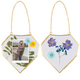 MHM Set of 2 or 3 Brass Wall Hanging Photo Frames, Gold Frames that Display Dried Plants, Flowers Artwork with Double Pressed Glass.