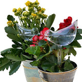 Self Watering Decorative Plant Globe (2 Piece Set) - ModernKitchenMaker.com
