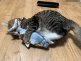 Realistic 3D Printed Electric Moving Fish Cat Toy