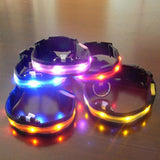 LED Pet / Dog Collar - ModernKitchenMaker.com