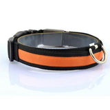 LED Pet / Dog Collar - ModernKitchenMaker.com