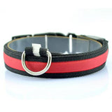 LED Pet / Dog Collar - ModernKitchenMaker.com