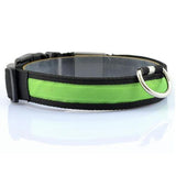 LED Pet / Dog Collar - ModernKitchenMaker.com