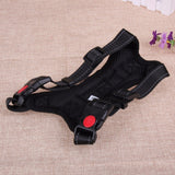 Dog or Cat Harness Leash Suitable for Large Dogs - ModernKitchenMaker.com