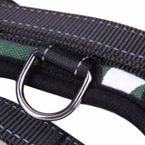 Dog or Cat Harness Leash Suitable for Large Dogs - ModernKitchenMaker.com