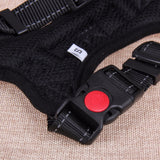 Dog or Cat Harness Leash Suitable for Large Dogs - ModernKitchenMaker.com