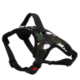 Dog or Cat Harness Leash Suitable for Large Dogs - ModernKitchenMaker.com