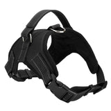 Dog or Cat Harness Leash Suitable for Large Dogs - ModernKitchenMaker.com