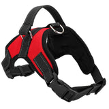 Dog or Cat Harness Leash Suitable for Large Dogs - ModernKitchenMaker.com