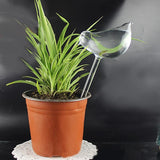 Self Watering Decorative Plant Globe (2 Piece Set) - ModernKitchenMaker.com