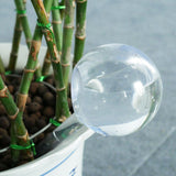 Self Watering Bulb for Plant Pot (2 Pack) - ModernKitchenMaker.com