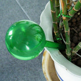Self Watering Bulb for Plant Pot (2 Pack) - ModernKitchenMaker.com
