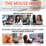 Wireless Ergonomic Vertical Mouse Carpal Tunnel Relief - ModernKitchenMaker.com