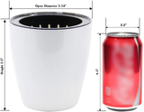Self Watering Plant Pot (Pack of 6 Pot Set)