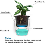 Self Watering Plant Pot (Pack of 6 Pot Set)