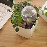 Self Watering Bulb for Plant Pot (2 Pack) - ModernKitchenMaker.com