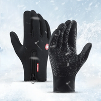 Winter Gloves that enables Touch Screen and Great for Riding Motorcycle, Bicycling and is WaterProof