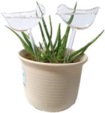 Self Watering Decorative Plant Globe (2 Piece Set) - ModernKitchenMaker.com