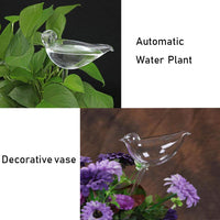 Self Watering Decorative Plant Globe (2 Piece Set) - ModernKitchenMaker.com