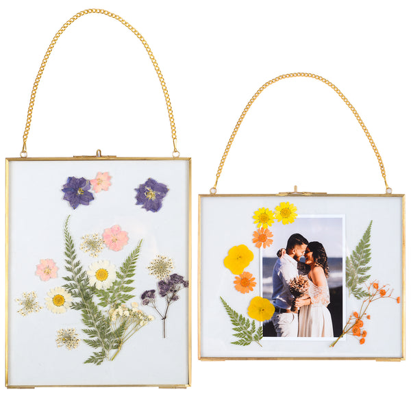 MHM Glass Floating Frame for Pressed Flowers - 8x10 Picture Frame Gold Color - Wall Hanging Double Glass Frame for Dried Wildflowers, Photos, and Postcards