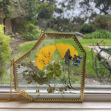 MHM Set of 2 or 3 Brass Wall Hanging Photo Frames, Gold Frames that Display Dried Plants, Flowers Artwork with Double Pressed Glass.