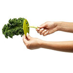 Kale / Herb Stripper - ModernKitchenMaker.com