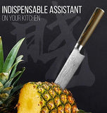 Gyuto Japanese Handmade 8 Inch Kitchen Knife - ModernKitchenMaker.com
