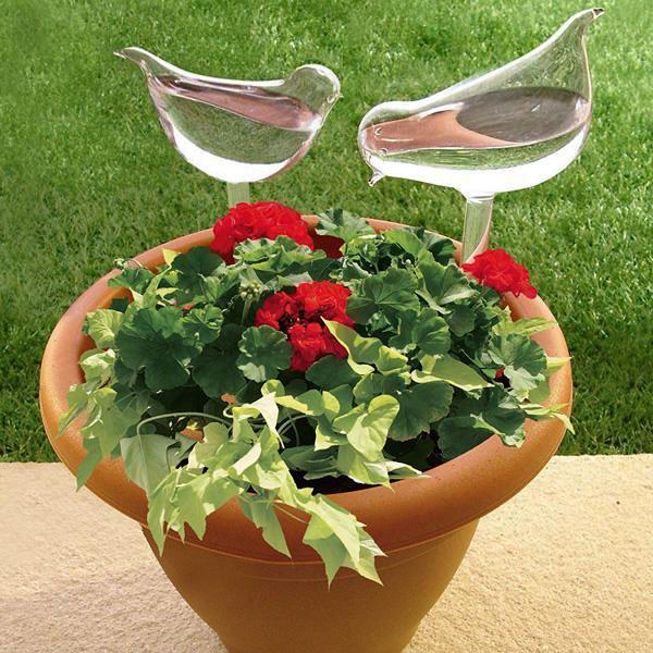plant self watering globe set Self Watering Decorative Plant Globe (2 Piece Set) – Modern Kitchen Maker
