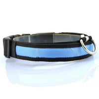 LED Pet / Dog Collar - ModernKitchenMaker.com