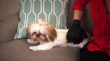 Pet Hair Remover Glove Gentle Deshedding Brush Glove for Pets - ModernKitchenMaker.com