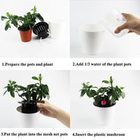 Self Watering Plant Pot (3 Pot Set) - ModernKitchenMaker.com