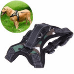Dog or Cat Harness Leash Suitable for Large Dogs - ModernKitchenMaker.com