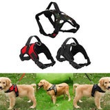 Dog or Cat Harness Leash Suitable for Large Dogs - ModernKitchenMaker.com
