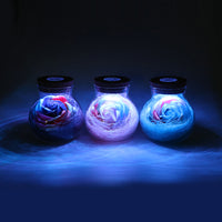LED Flower / Rose Creative Night Light Lamp - ModernKitchenMaker.com