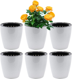 Self Watering Plant Pot (Pack of 6 Pot Set)